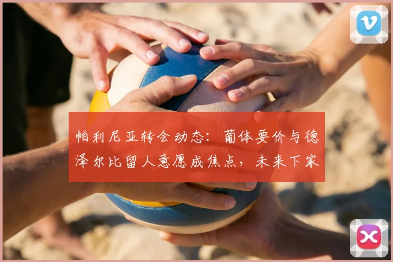 帕利尼亚转会动态:葡体要价与德泽尔比留人意愿成焦点,未来下家分析