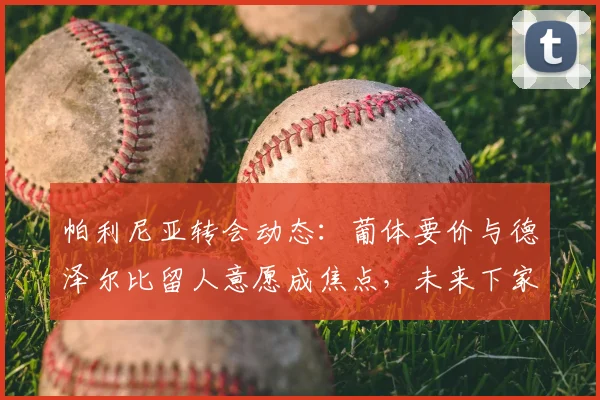 帕利尼亚转会动态：葡体要价与德泽尔比留人意愿成焦点，未来下家分析